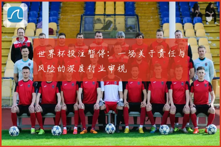世界杯投注暂停:一场关于责任与风险的深度行业审视
