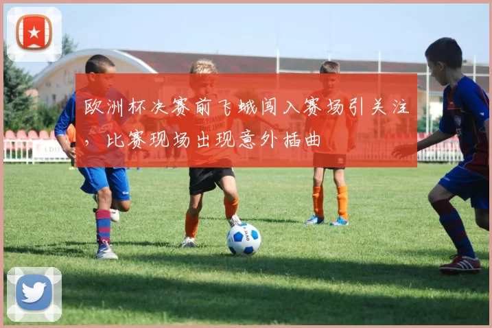 欧洲杯决赛前飞蛾闯入赛场引关注，比赛现场出现意外插曲