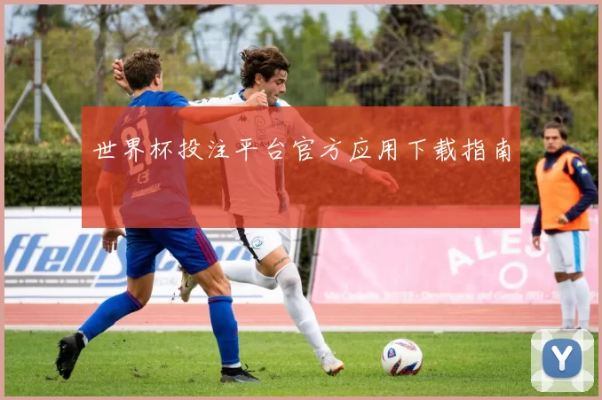 世界杯投注平台官方应用下载指南