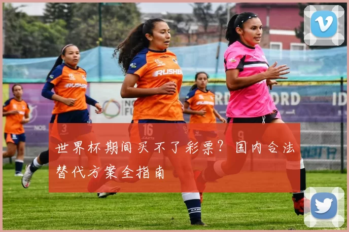 世界杯期间买不了彩票？国内合法替代方案全指南