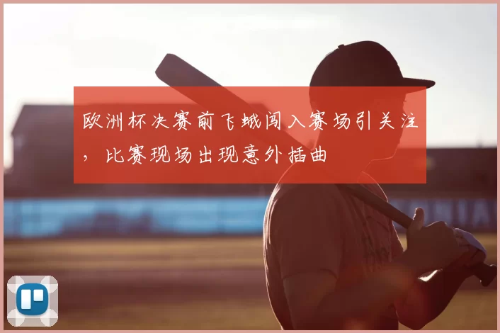 欧洲杯决赛前飞蛾闯入赛场引关注,比赛现场出现意外插曲