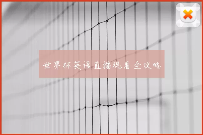 世界杯英语直播观看全攻略