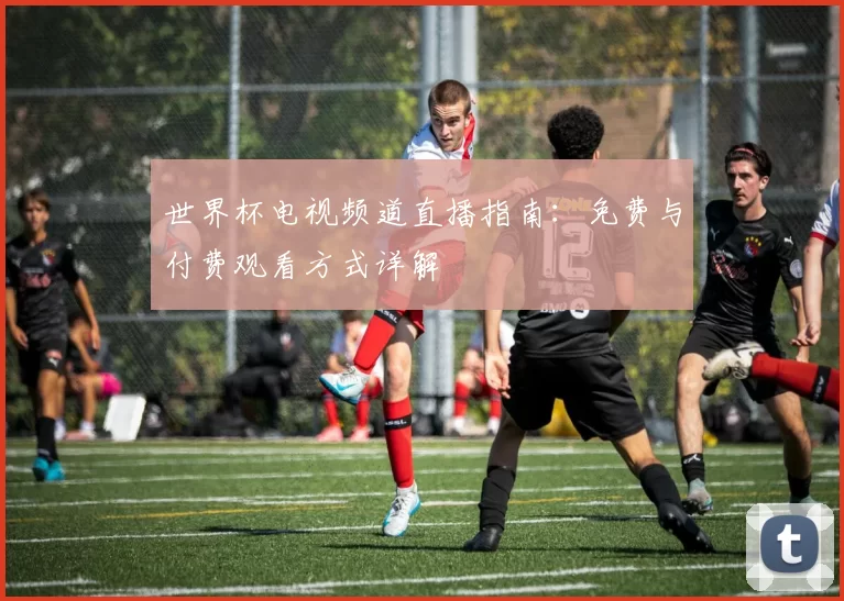 世界杯电视频道直播指南:免费与付费观看方式详解