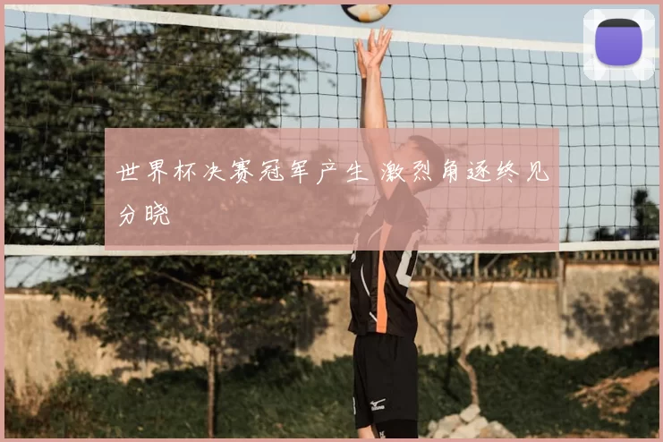 世界杯决赛冠军产生 激烈角逐终见分晓