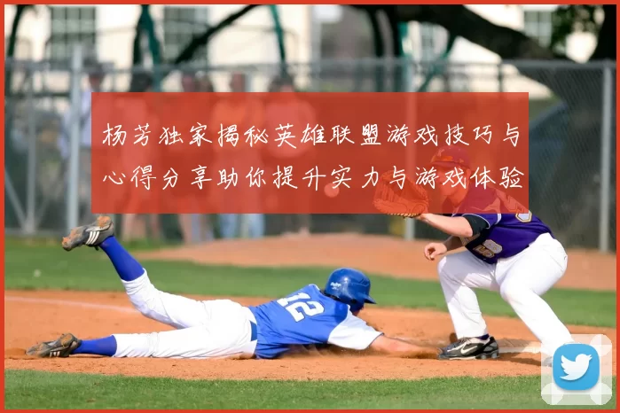 杨芳独家揭秘英雄联盟游戏技巧与心得分享助你提升实力与游戏体验