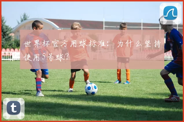 世界杯官方用球标准：为什么坚持使用5号球？