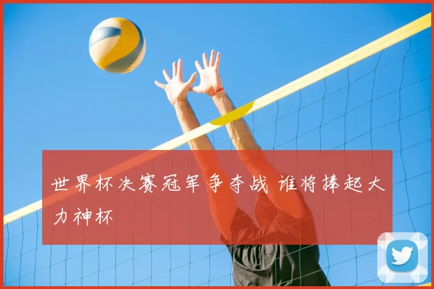 世界杯决赛冠军争夺战 谁将捧起大力神杯